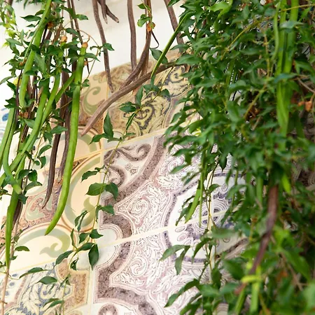 Casa de hóspedes Il Borgo - *